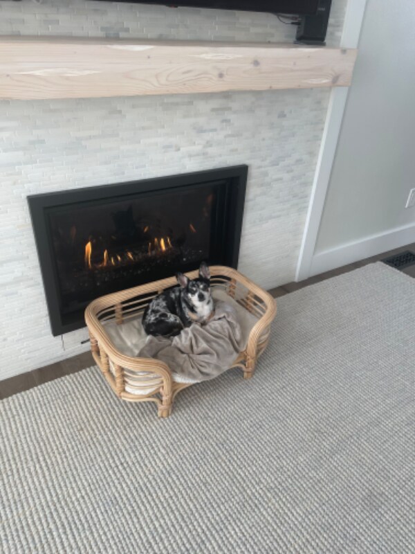 Building Photo - 1984 Palisade Blvd