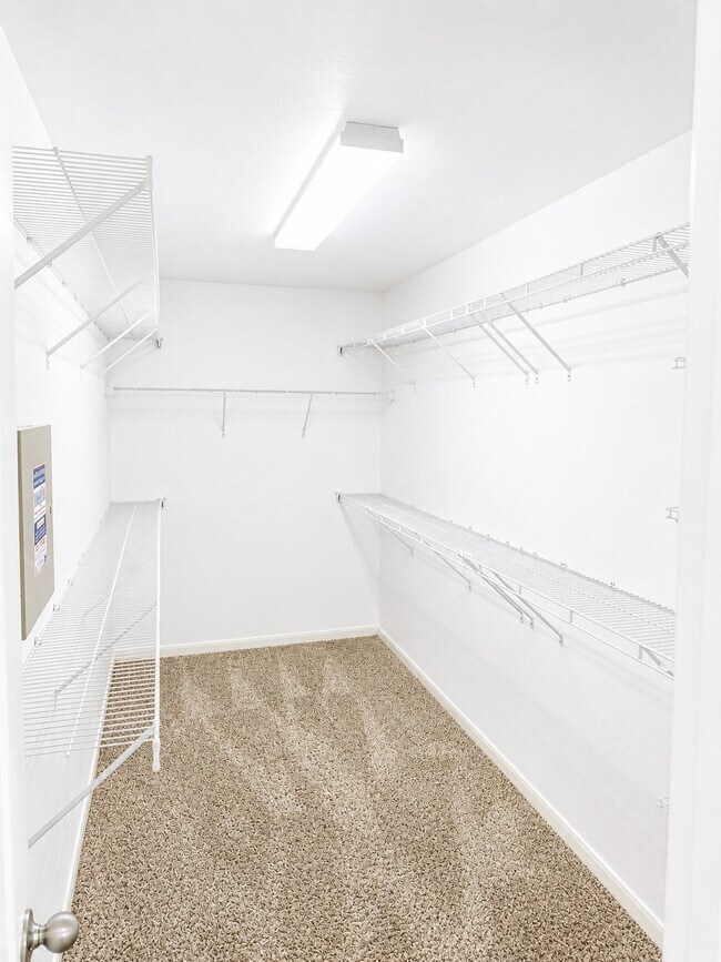 Building Photo - 7434 Tonsley Springs Dr