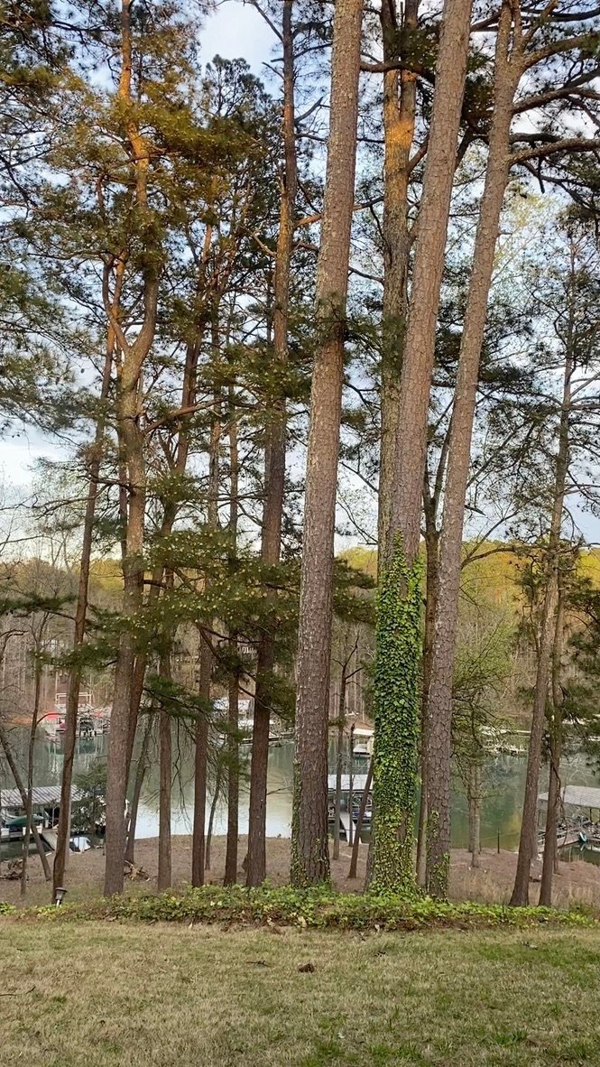 Building Photo - 2109 Pine Tree Dr