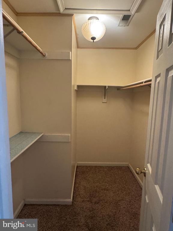 Building Photo - 3850 Koval Ln