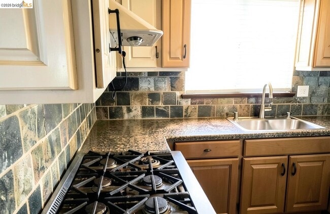 Building Photo - 2413 Santa Cruz Ct