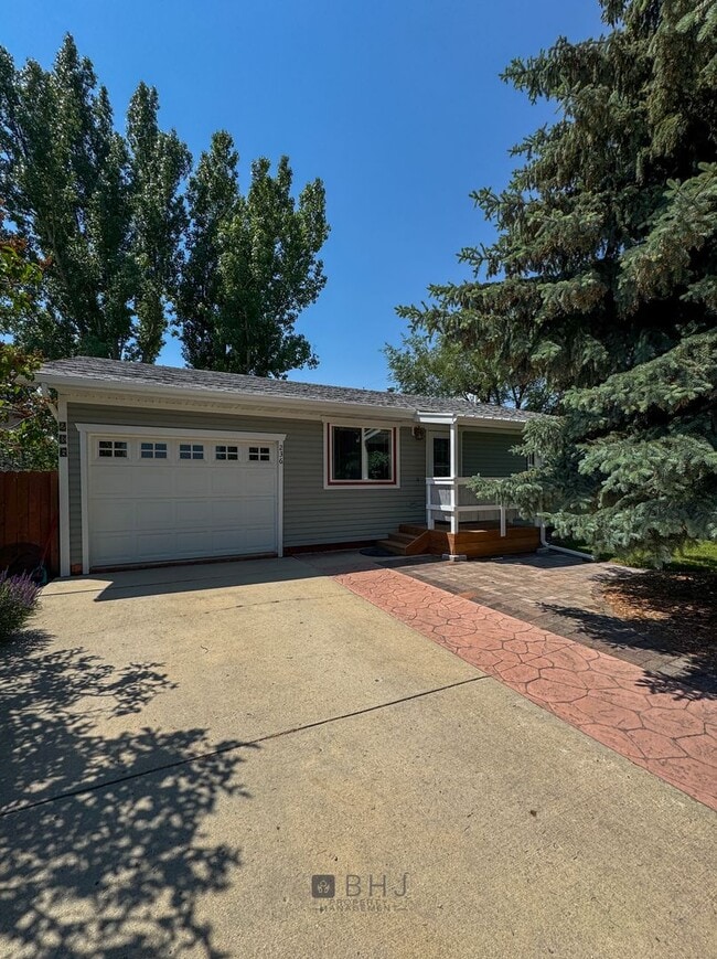 Primary Photo - NEWLY UPDATED 2 BED/ 1 BATH SINGLE FAMILY ...