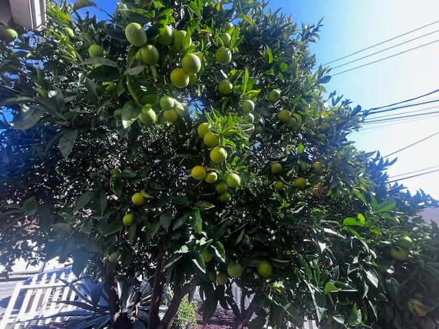 Building Photo - 8109 Ney Ave