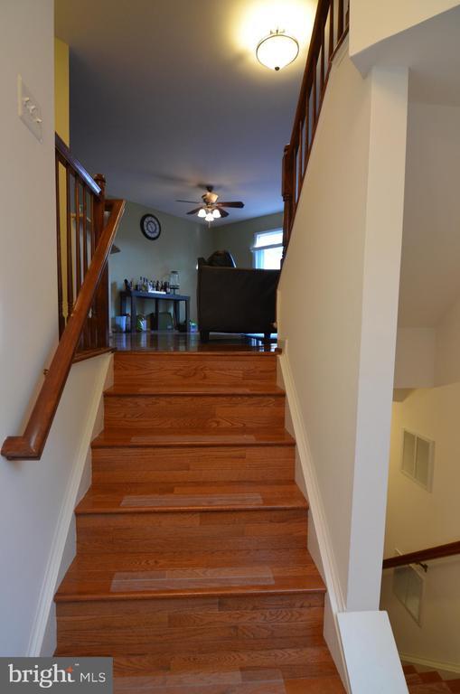 Building Photo - 2946 Saxon Flowers Dr