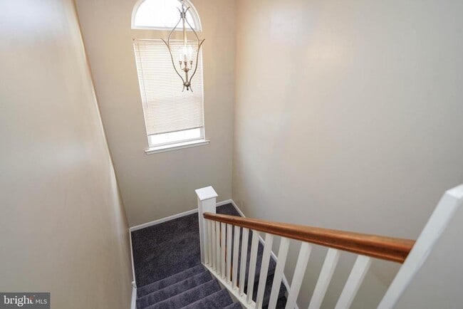 Building Photo - 641 Rosemary Dr