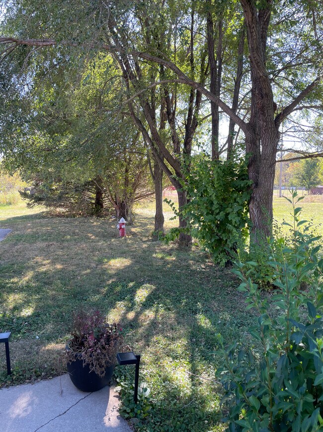 Building Photo - 1417B 2nd St