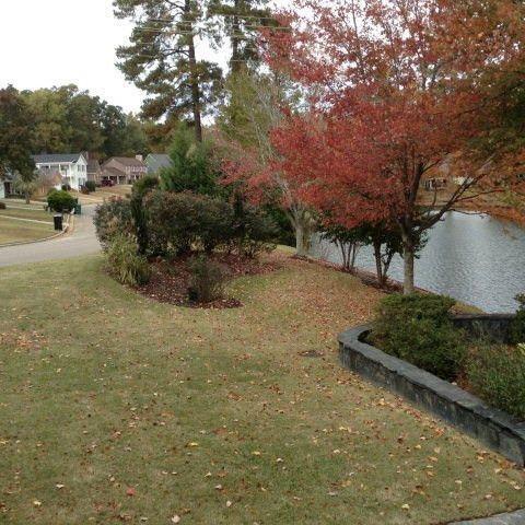 Building Photo - 113 Moss Creek Dr