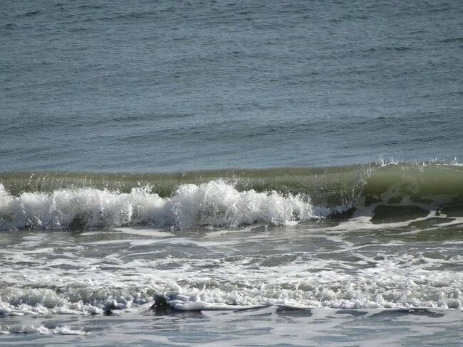 Building Photo - 5050 Ocean Beach Blvd