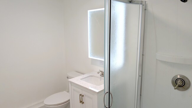 Full bath with custom lighted medicine cabinet mirror - 160 Brackett Hill Rd