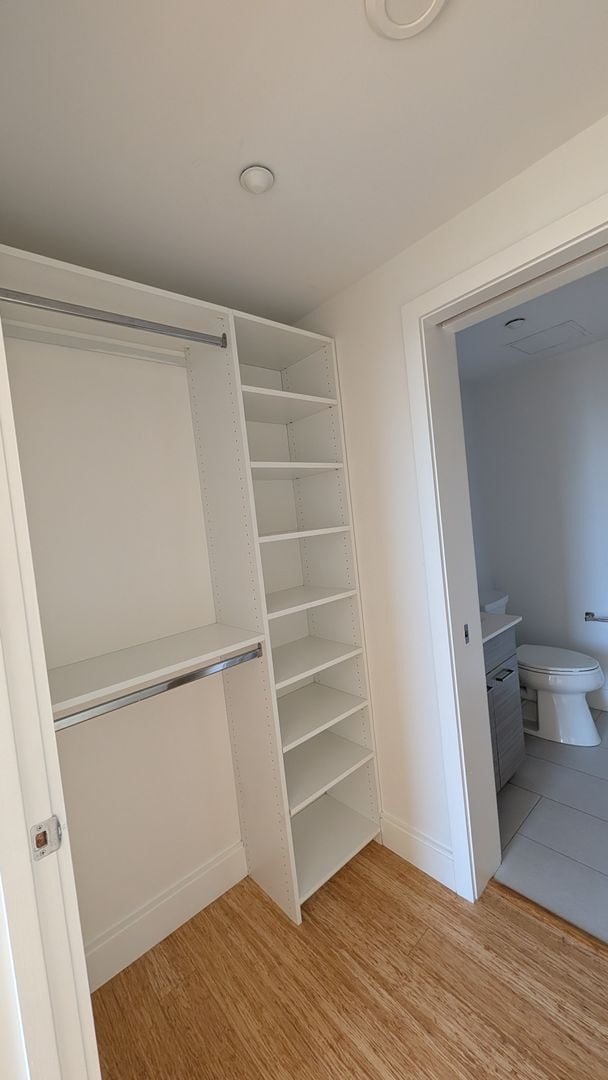 Building Photo - Sunny, Modern, Renovated Allston 2-Bed/2-Bath Steps from Packard's Corner!