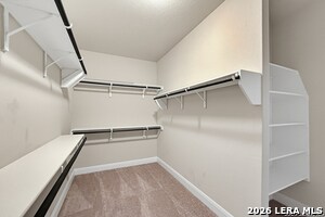 Building Photo - 8530 Briscoe Fields