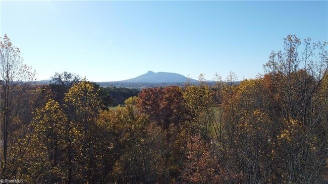 Building Photo - 148 Buena Vista Dr