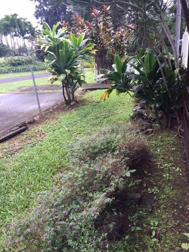Building Photo - 3 BED 1 BATH BIG YARD  WITH CARPORT KANEOHE
