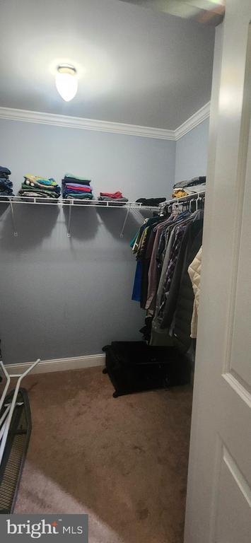 Building Photo - 2 Marchesi Dr