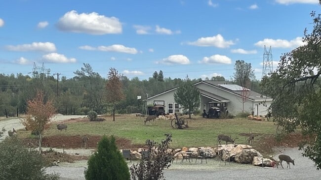 Building Photo - Breathtaking Views – Brand New 2 Bed, 1.5 Bath Home for Rent!  Available Nov 1st | Mt. Bally | Mt...