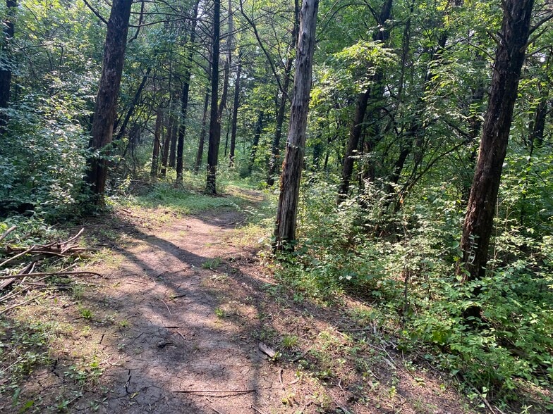 Nearby Clarion Woods Park and nature trail - 3755 SW Summerfield Dr