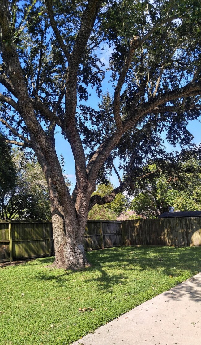 Building Photo - 3806 Pecan Cir