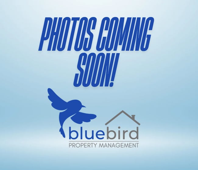 Building Photo - The Perfect Blend of Comfort and Function