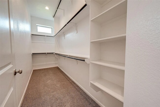 Building Photo - Beautiful Move-In Ready Home in Missouri City