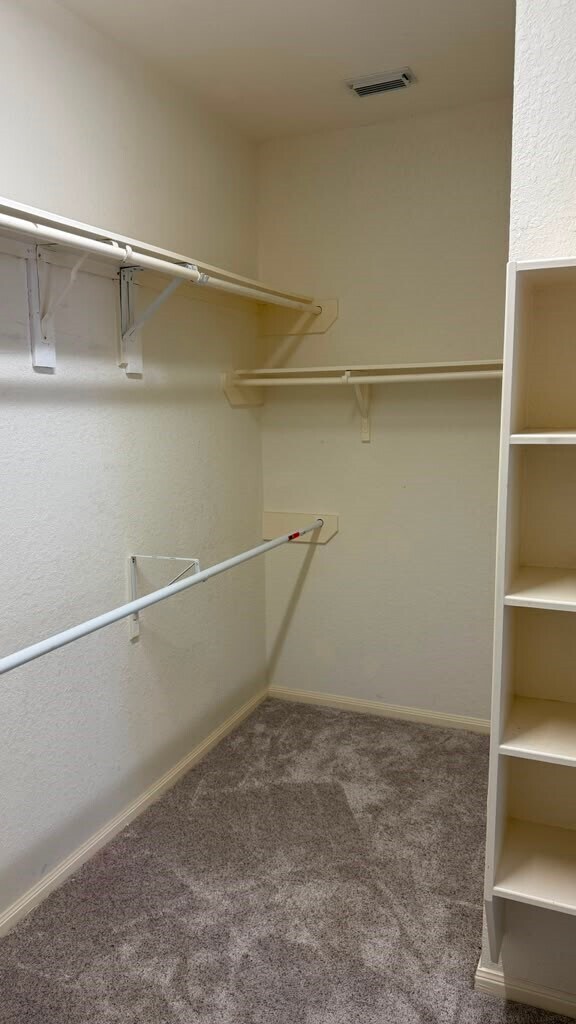 Building Photo - 3511 Cedar Hill Ct