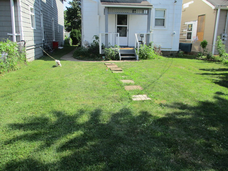 Rear yard - 84 McMillen Ave