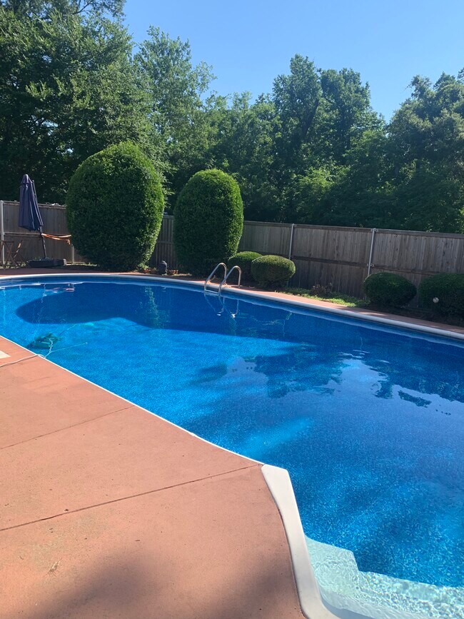 Primary Photo - 115 Pearson Ln