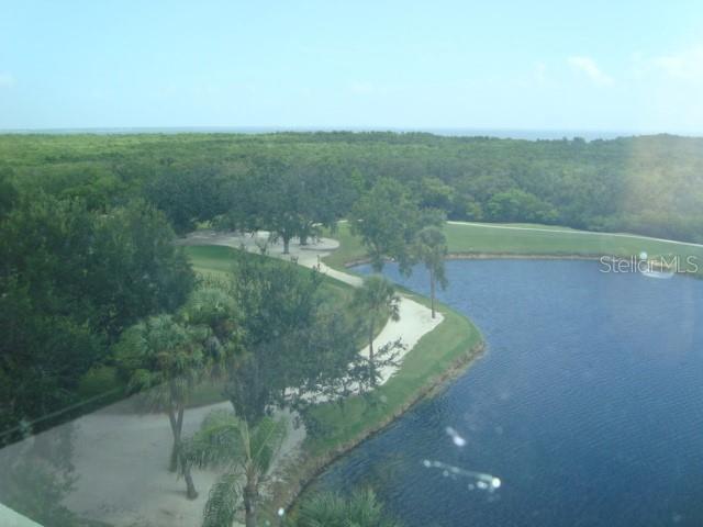 Building Photo - 2333 Feather Sound Dr