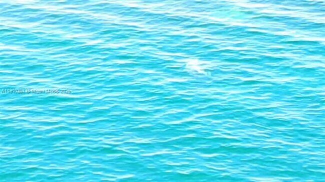 Building Photo - 1625 Kennedy Cswy