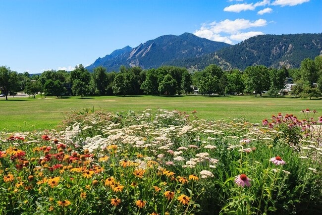 Building Photo - 1237 Elder Ave