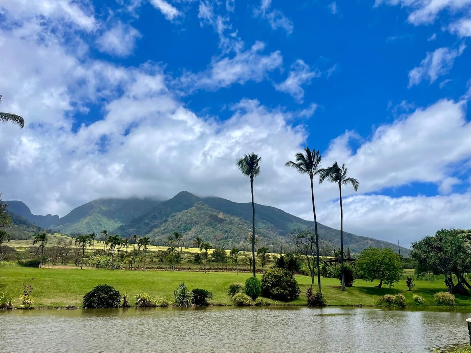Building Photo - 679 S Kihei Rd