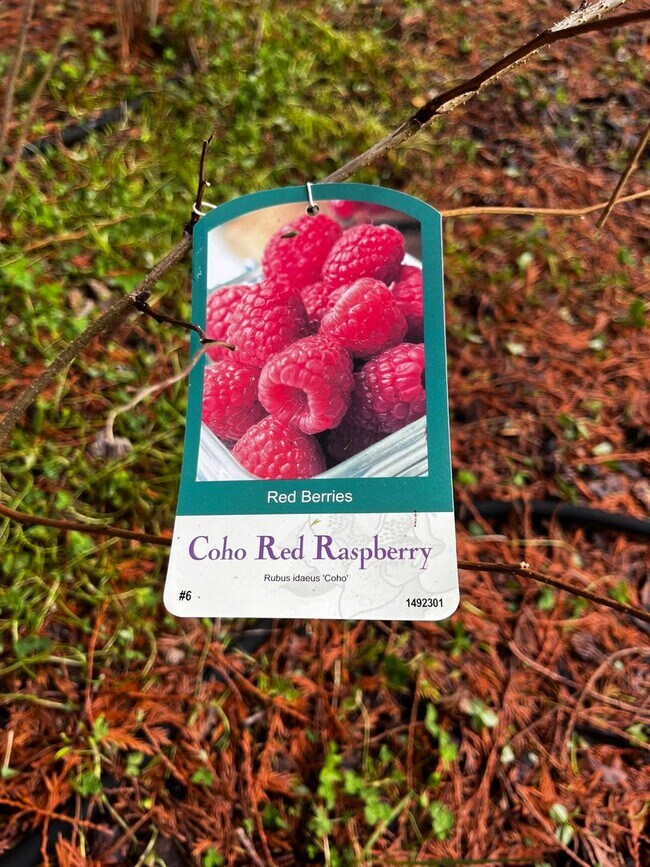 Building Photo - Well Maintained, Cozy, Furnished, Hansville Home on 3/4 Acre Lot!