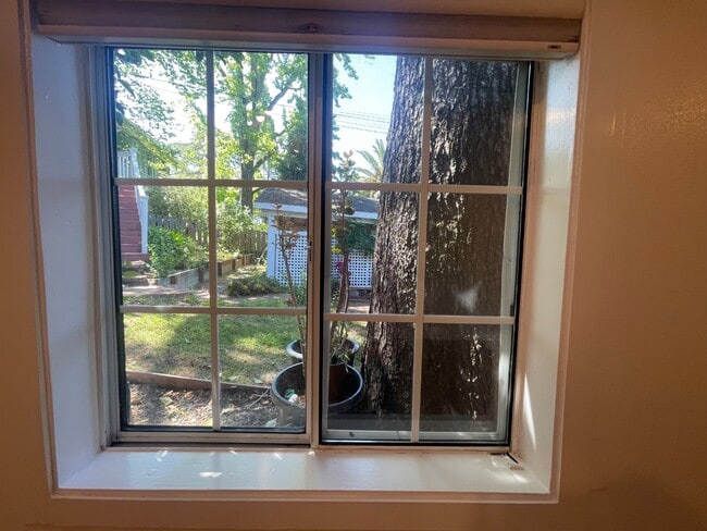 Building Photo - 38 Rosebank Ave