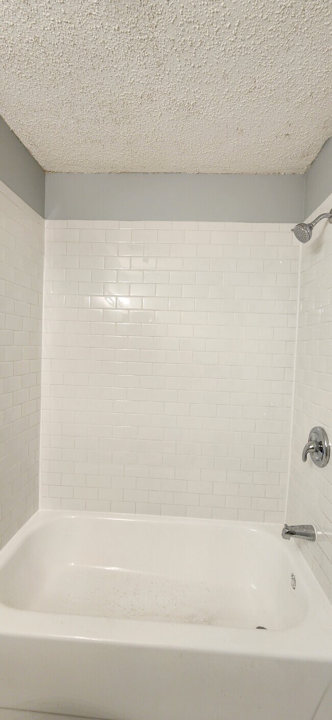 Building Photo - 6010D Curtier Dr