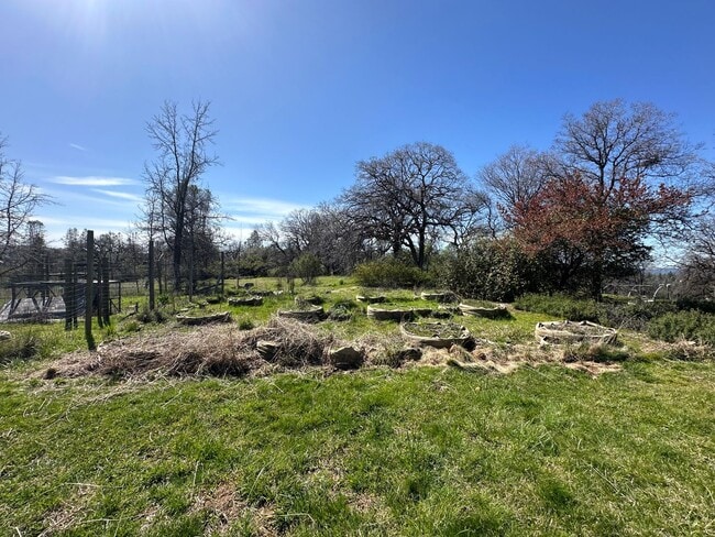 Building Photo - Gorgeous Multilevel 4 Bedroom 2.5 Bathroom Home on Acreage