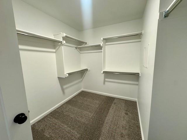 Building Photo - 3108 Mt Nebo Dr