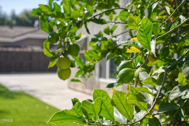 Building Photo - 614 Gilbert St