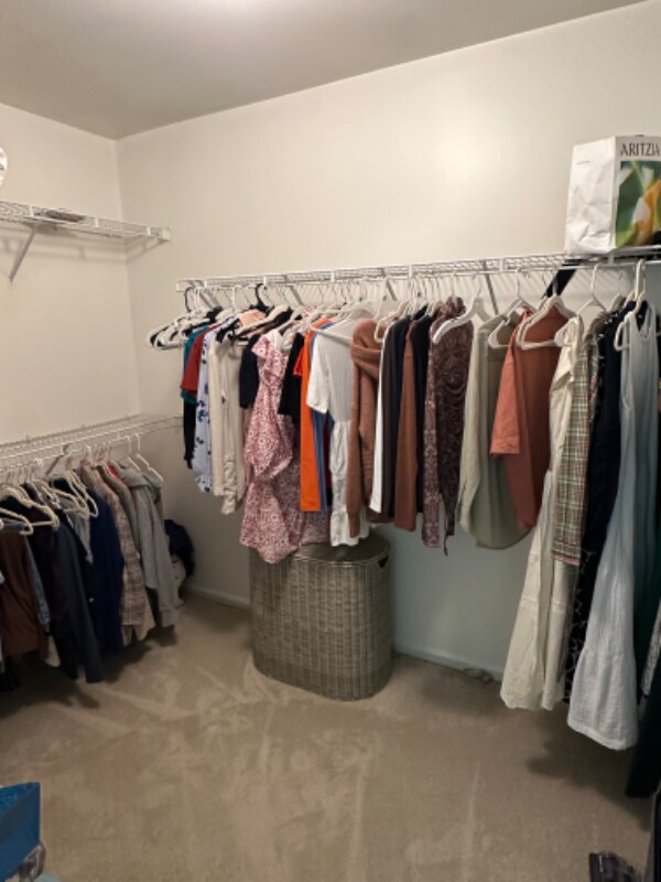 Building Photo - 106 Ava Ct