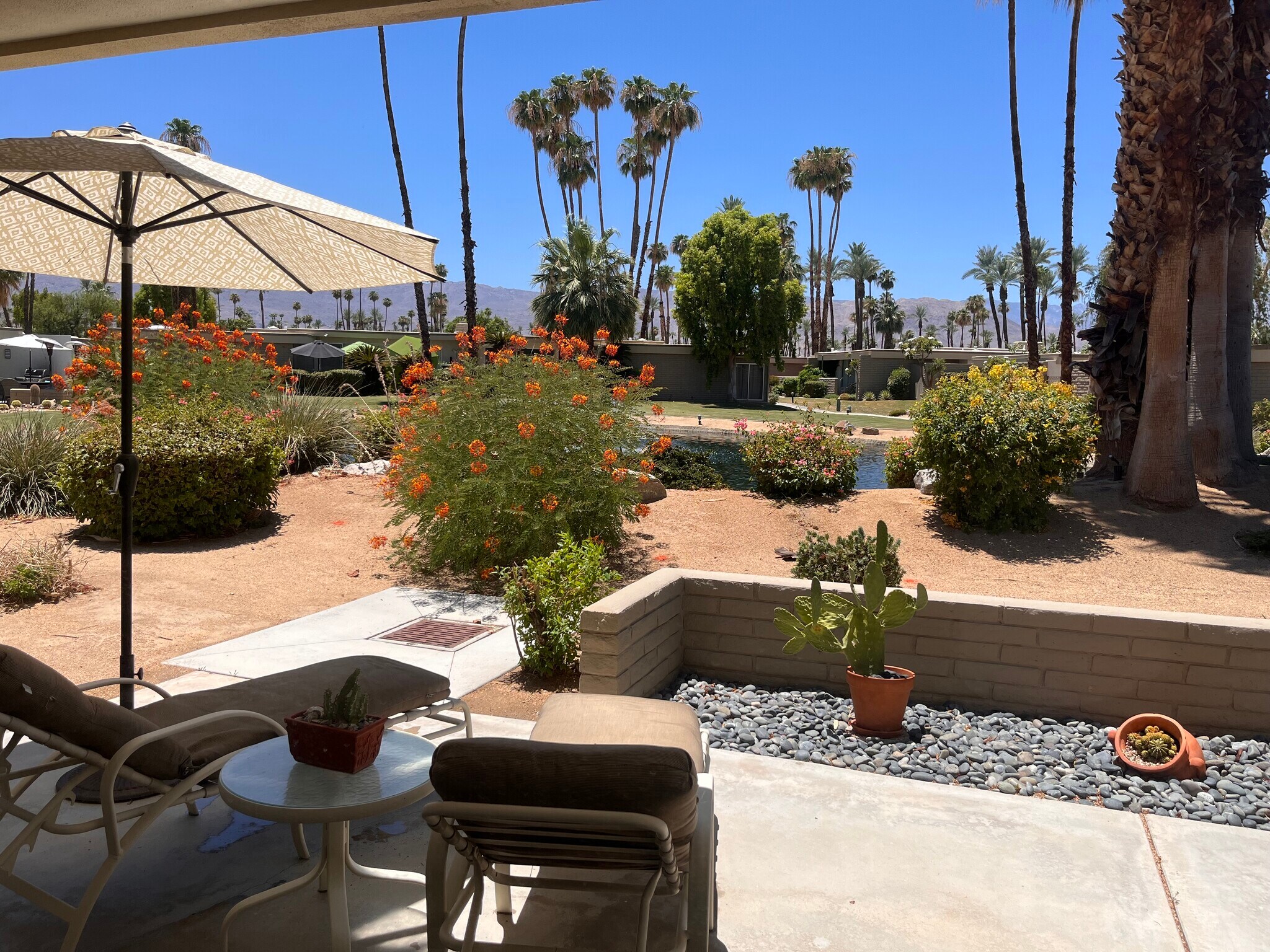 Rear Patio - 45125 Cam Dorado