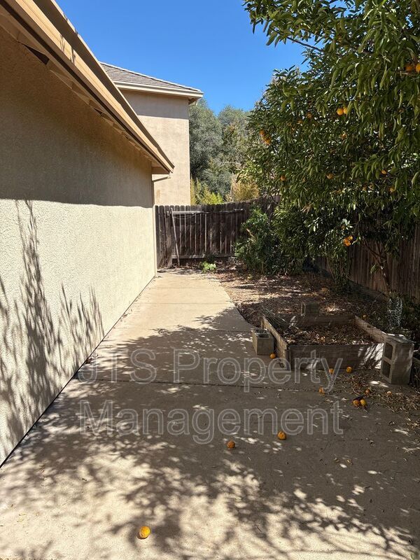 Building Photo - 3718 Bella Cruz Ct