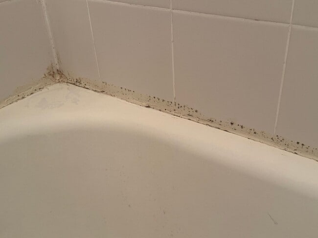 Building Photo - One-Bedroom, One-bath Basement Apartment in Sought-After Community of Aquia Harbour