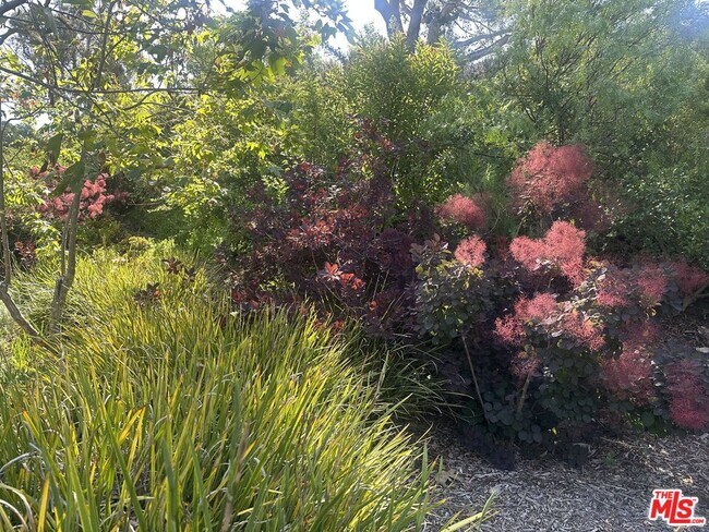 Building Photo - 5927 Busch Dr