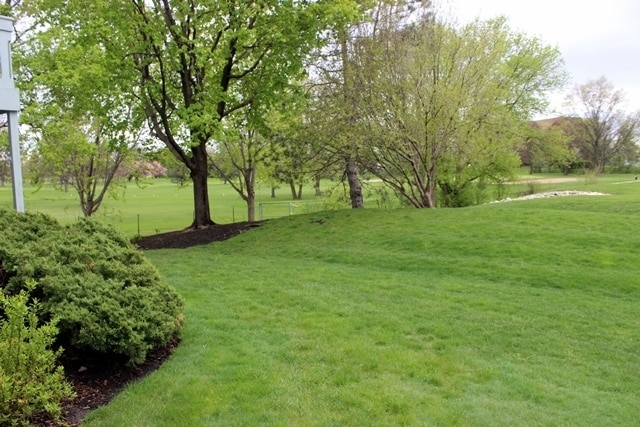 Building Photo - 211 Blossom Ct