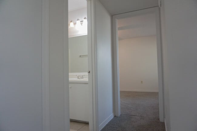 Building Photo - 111 Palmetto Dr