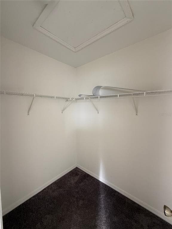 Building Photo - 24 Sawfish Ct