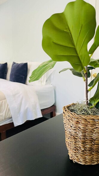 Building Photo - 25 Andem St