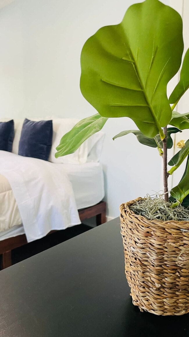 Building Photo - 25 Andem St