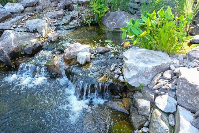 Building Photo - Like-new 3 bedroom, 2.5 bath house with an organic pond!