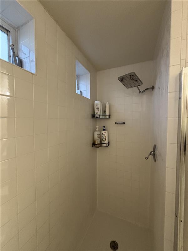 Guest Shower - 4950 Bayshore Blvd