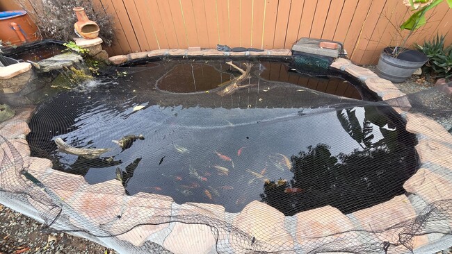 Building Photo - Spacious 3 bed 1 bath with a large backyard!