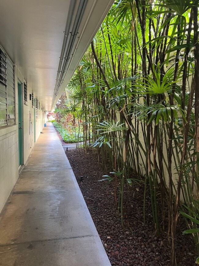 Building Photo - Charming 1/1/1 Ground Floor Unit with Lanai & Yard